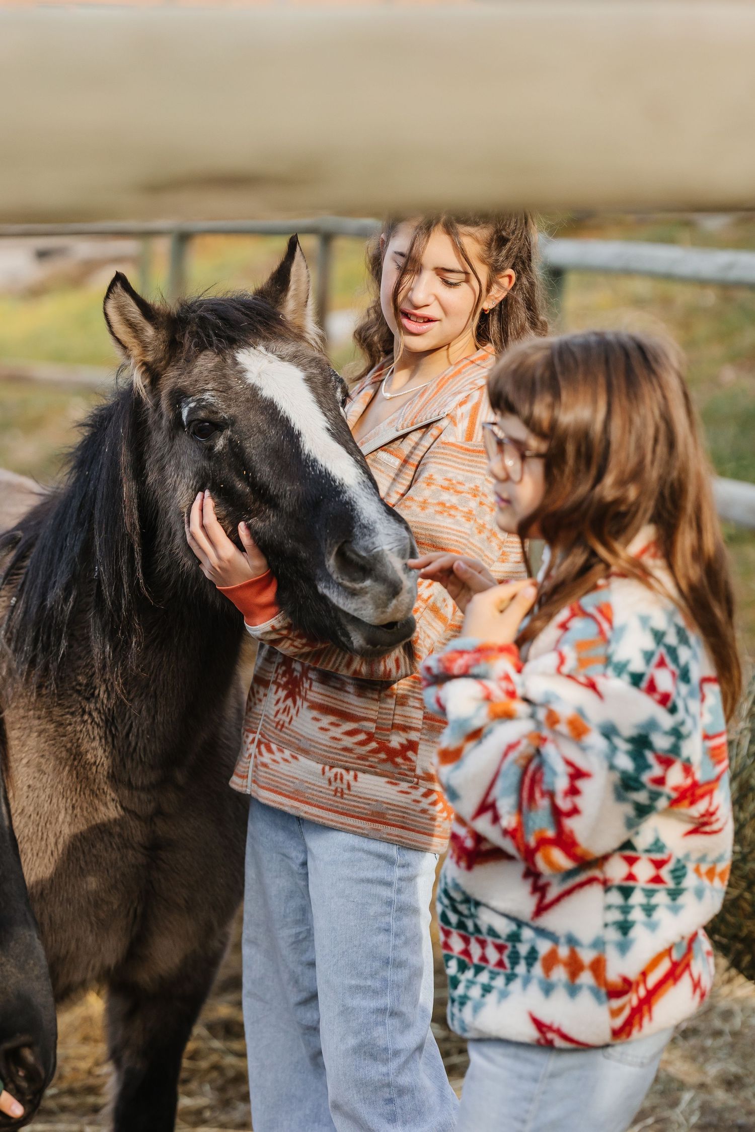 A small dark pony nuzzles and interacts affectionately with people wearing colorful patterned sweaters outdoors.
