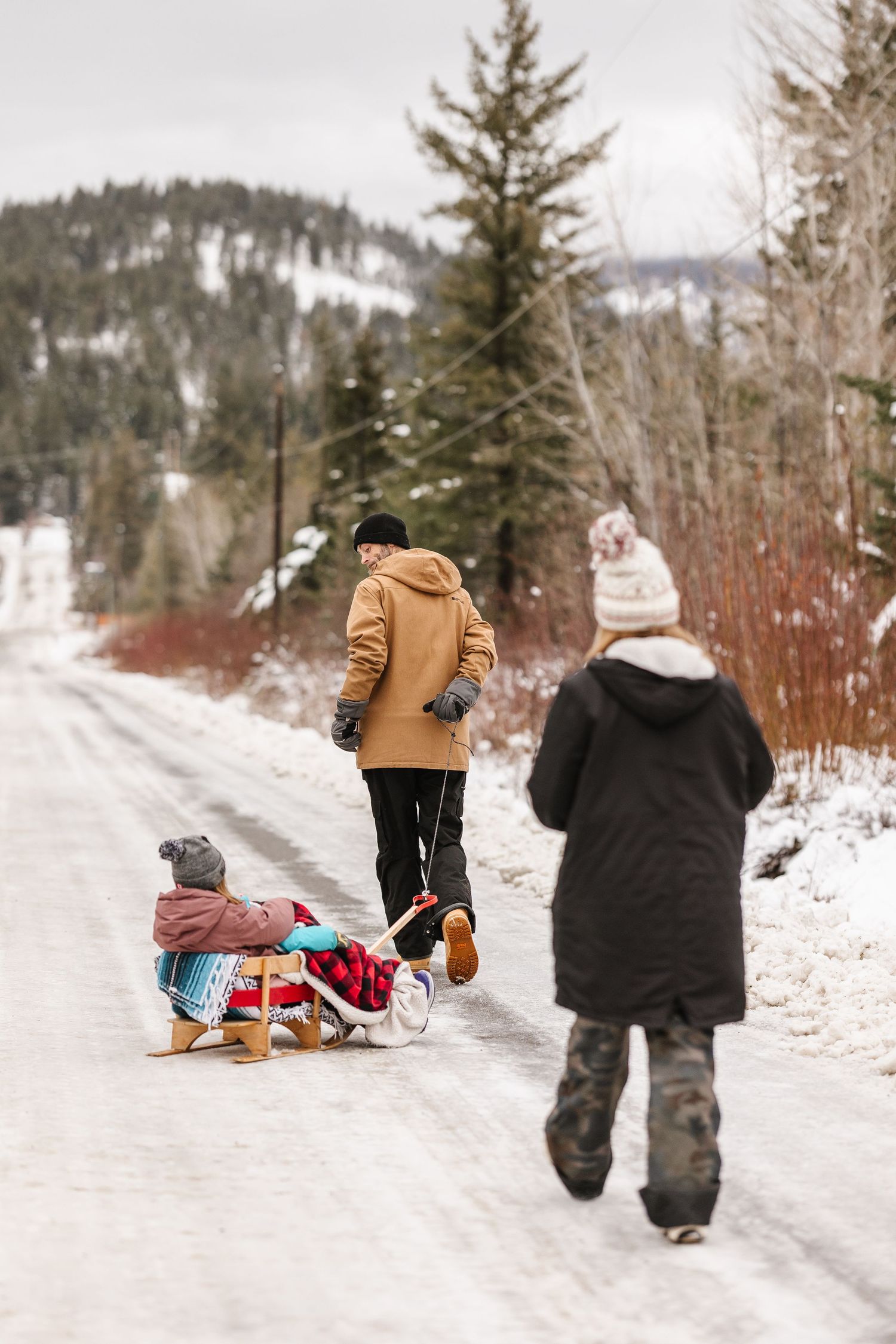 A sequence of winter scenes showing people sledding down a snowy path surrounded by evergreen trees and forest.