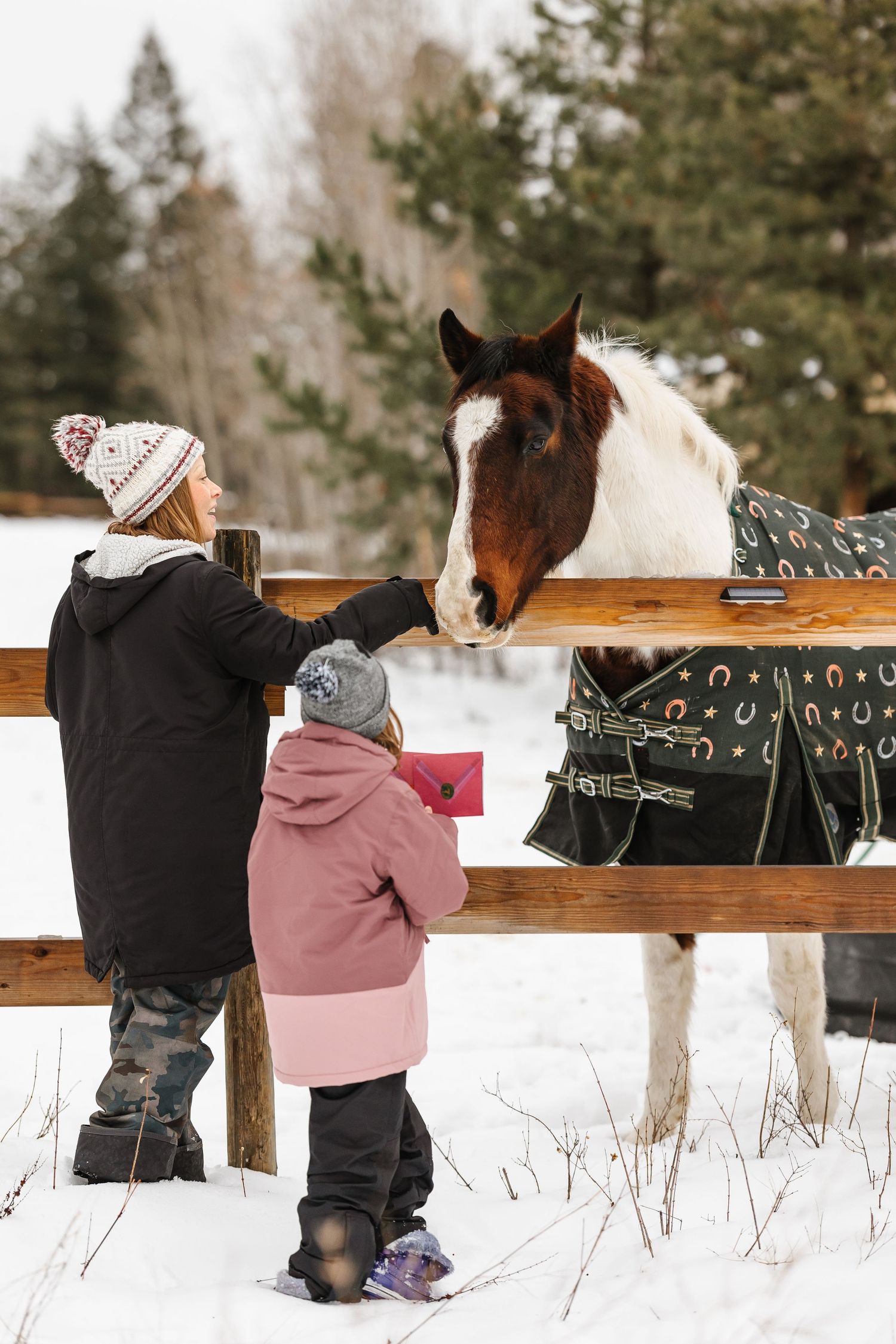 Horses in winter blankets peek through a wooden fence rail in a snowy landscape.
