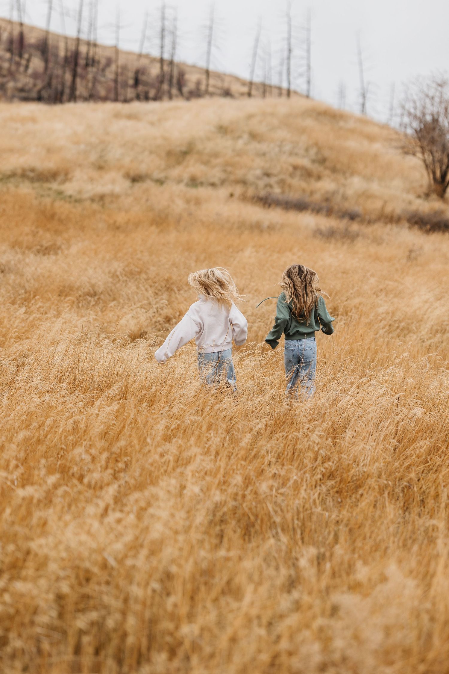Two people walk through a golden autumn field of tall dried grass on a hillside.