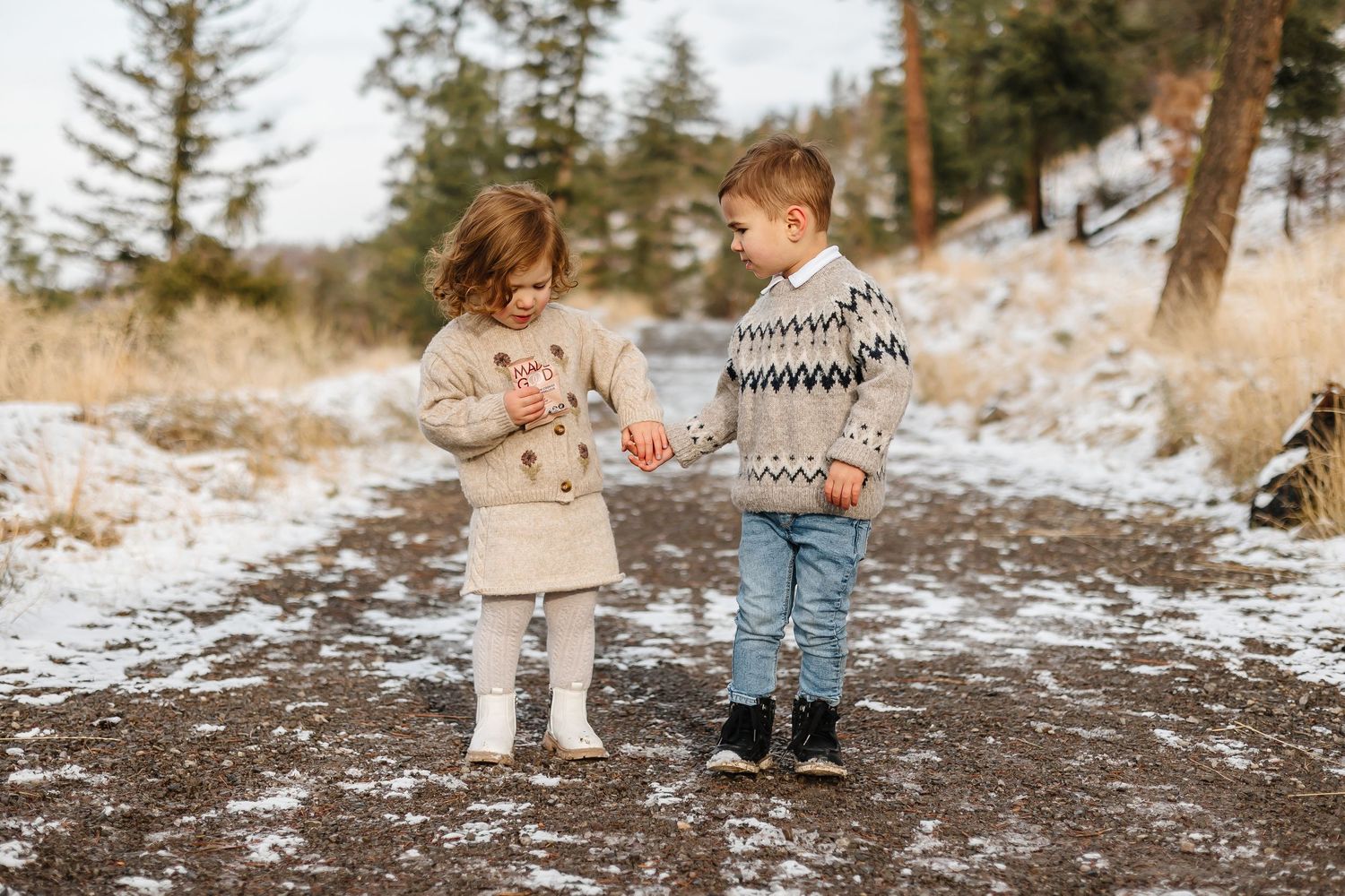 Winter family photoshoot on a snowy mountain trail with scenic views in kelowna British Columbia with children
