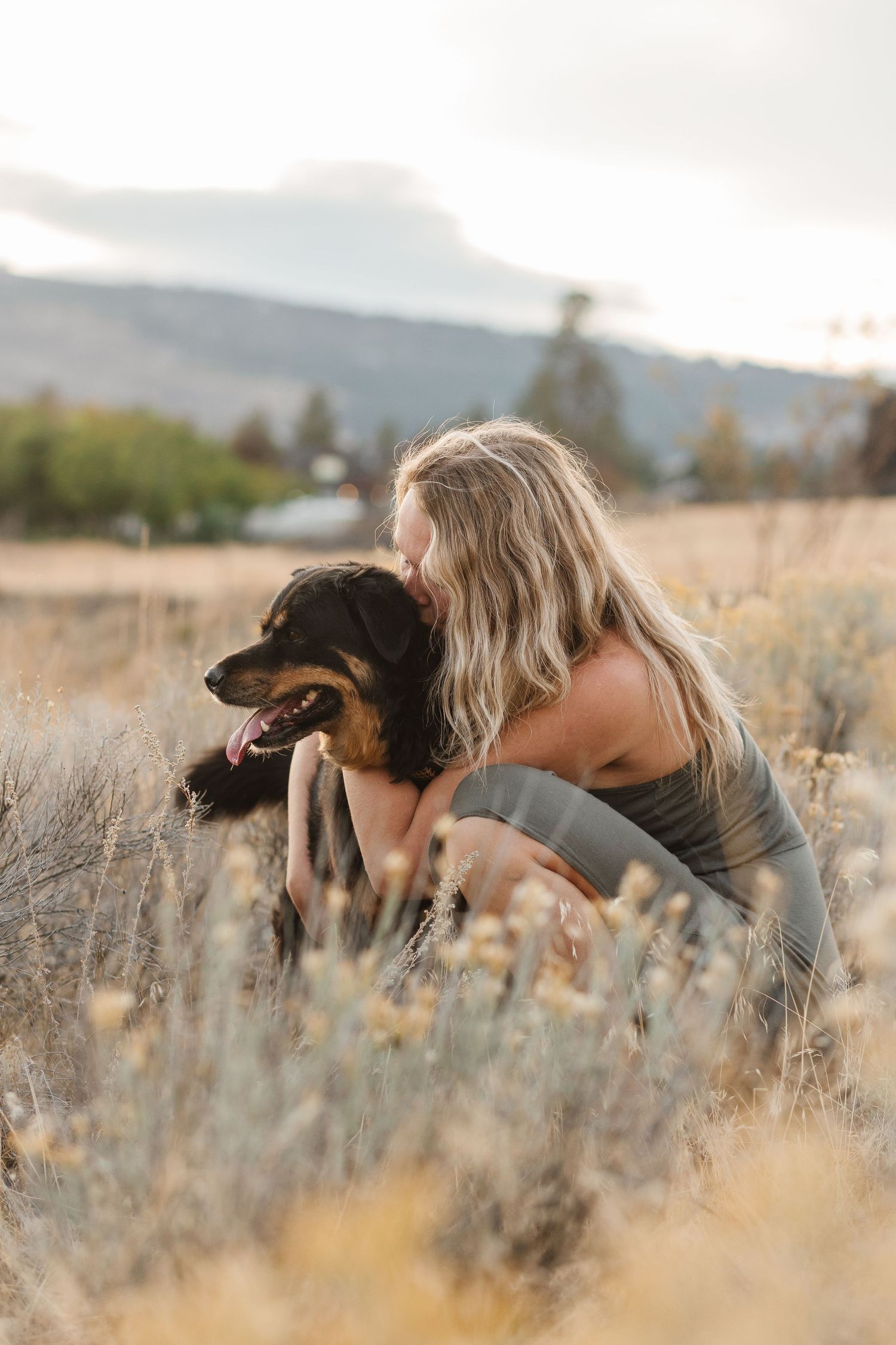 A person and their dog share a tender moment in a golden field during sunset with mountains in the background.