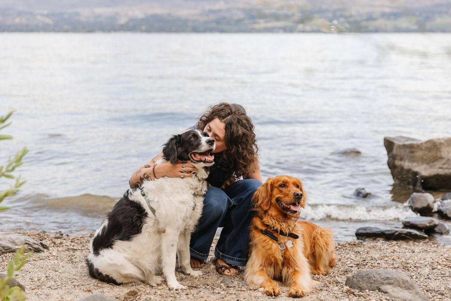 Three dogs and their owner sit together on a rocky beach near the water's edge.