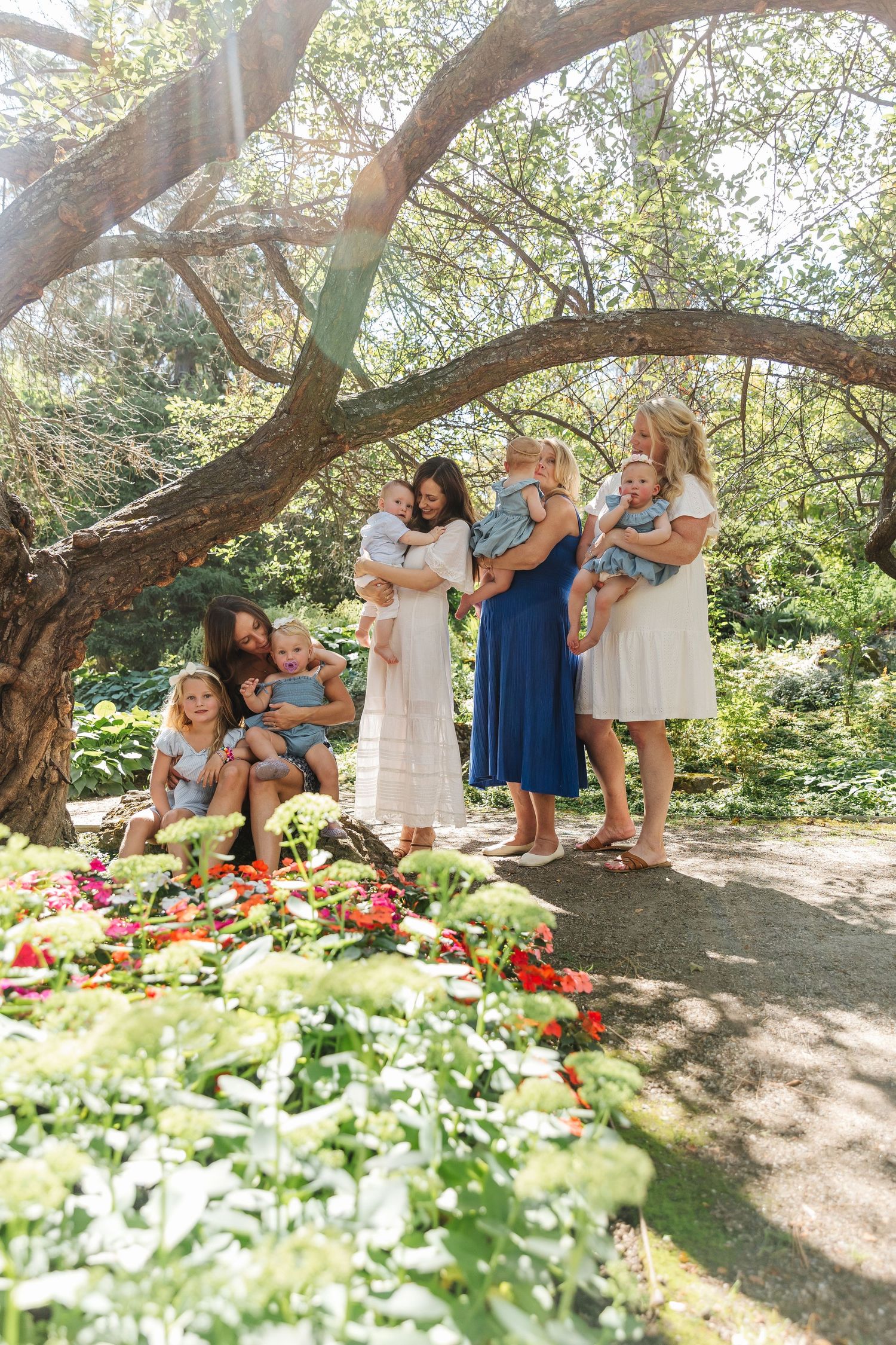 A sequence of candid moments captured under a large tree with bright red flowers blooming in the foreground.
