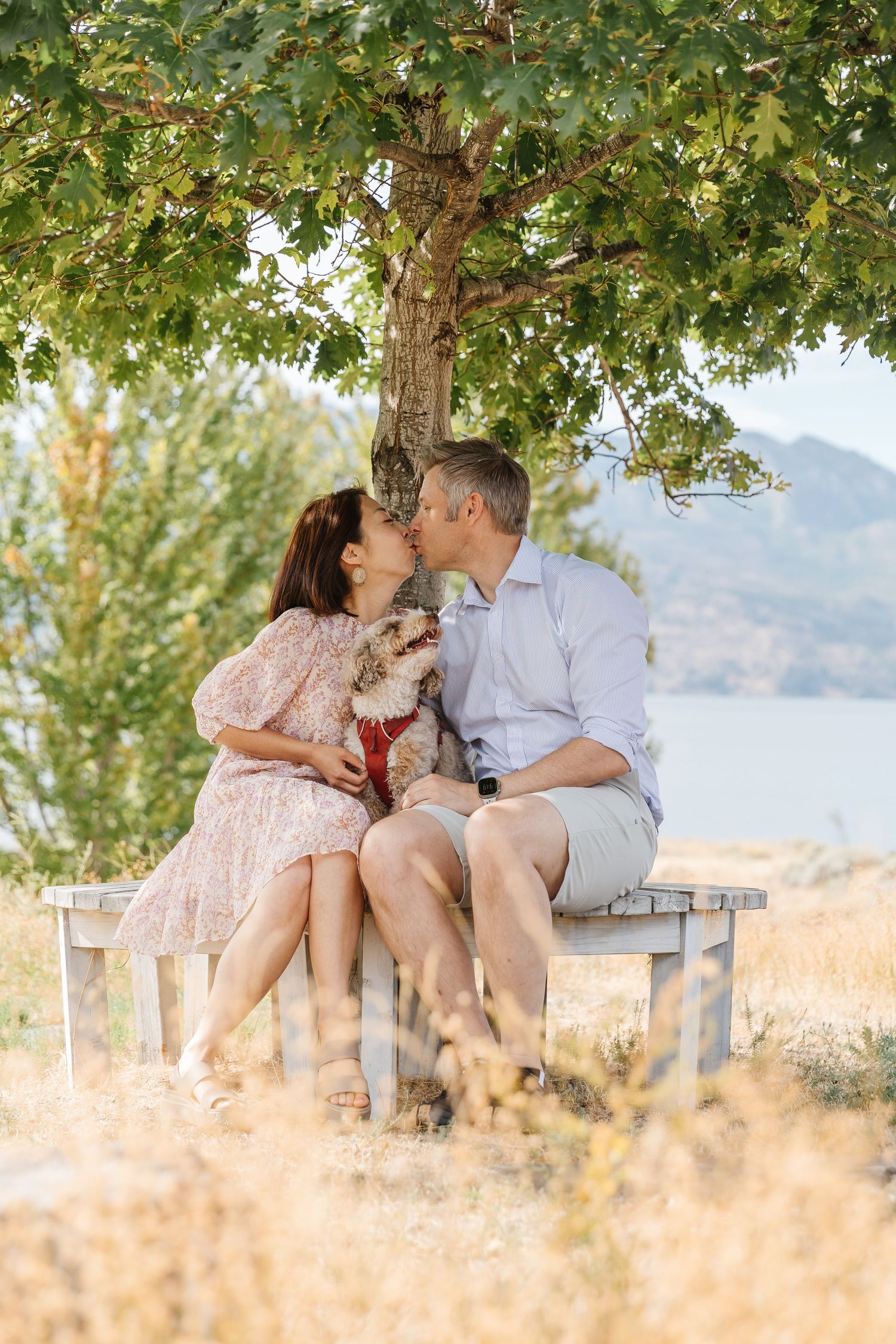 Romantic couple sitting together under a leafy tree with golden field and mountains in background.