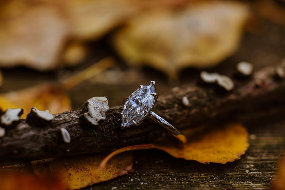 Marquise diamond solitaire engagement ring on silver band displayed on autumn leaves and rustic wood branch.
