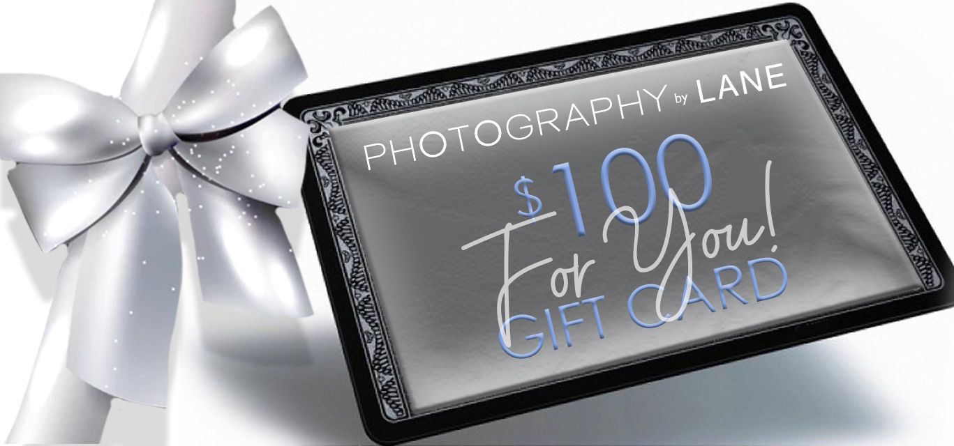 Photography by Lane $50 gift card with silver bow for VIP referral program.