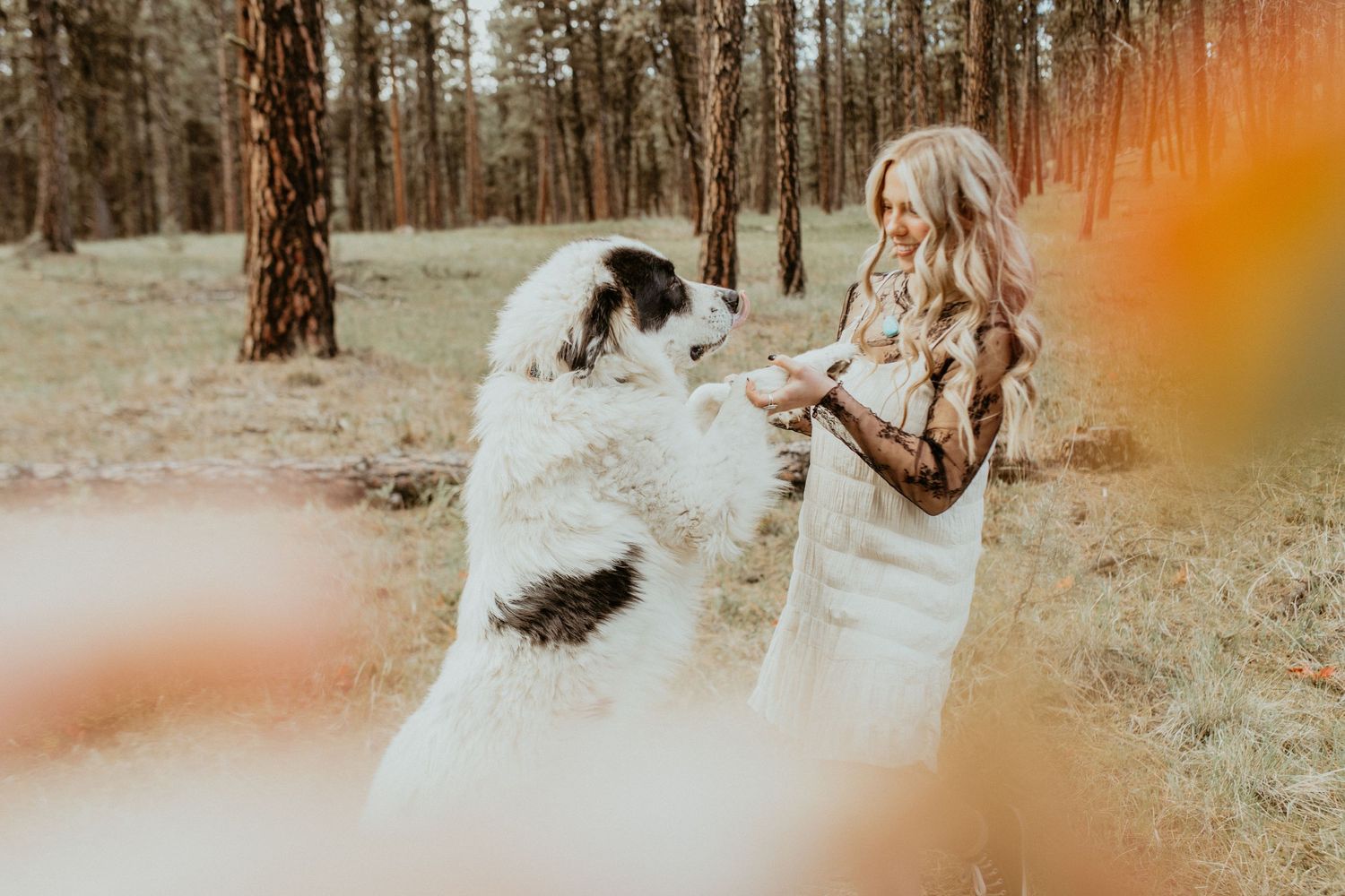 senior portrait with dog - Family, Portrait  & small wedding photographer based in Astoria, OR and serving the Oregon Coast