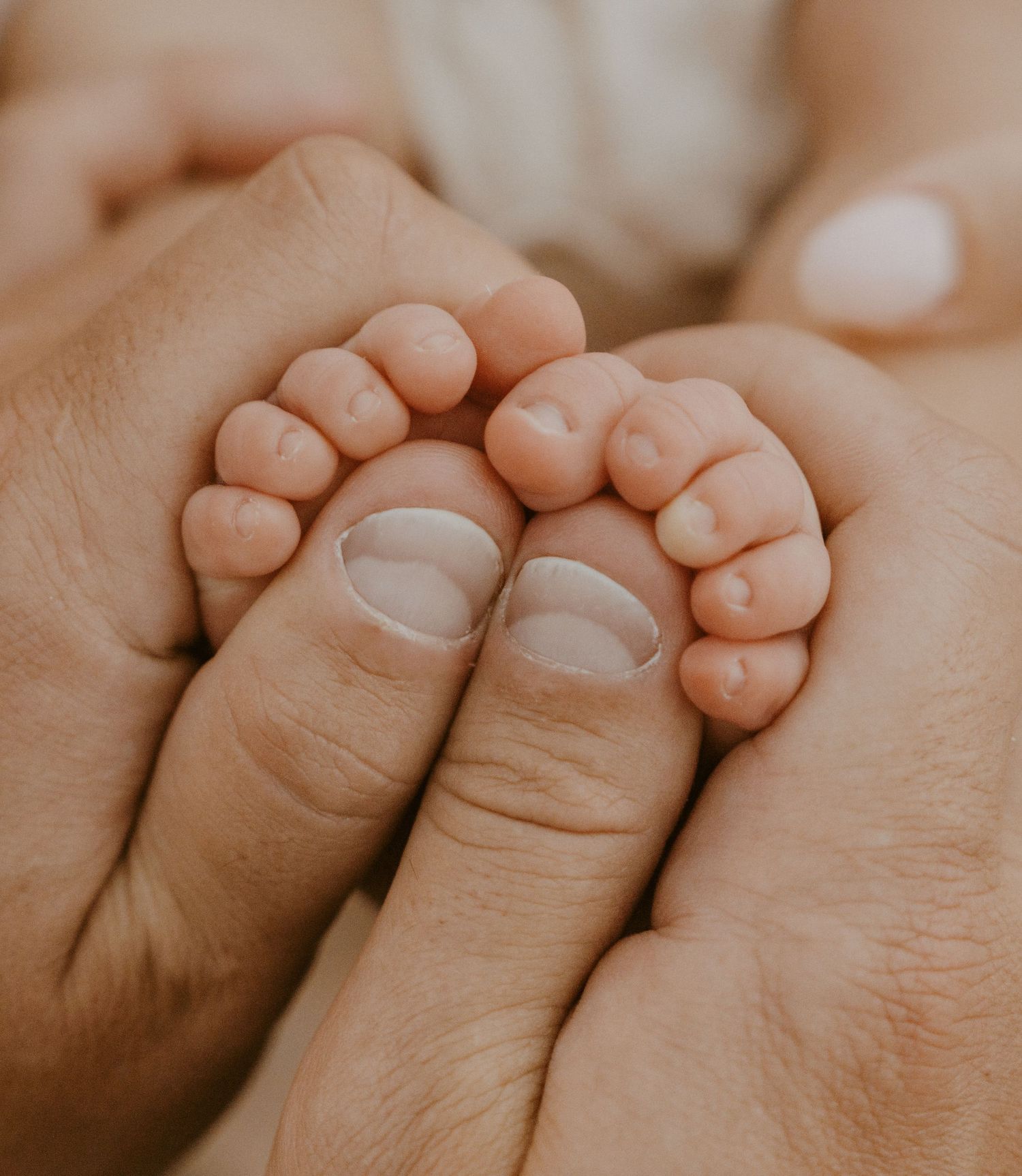 Close-up of tiny baby feet nestled in caring hands.