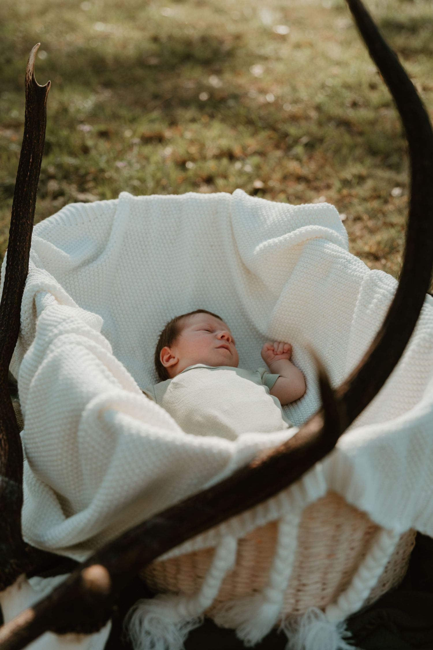 newborn baby