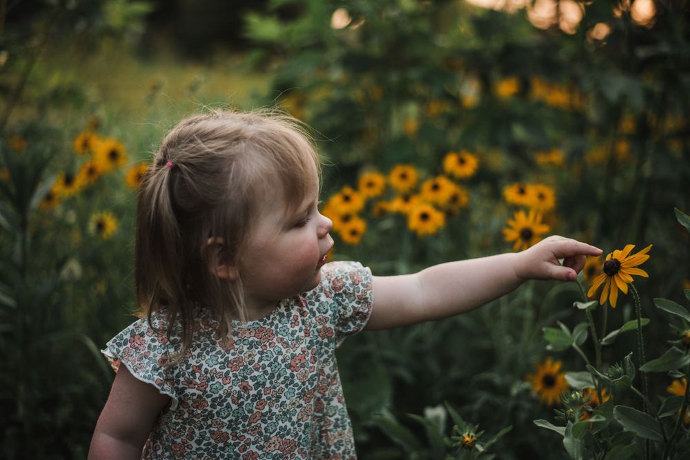 Child in floral dress reaches toward bright yellow sunflowers in garden.