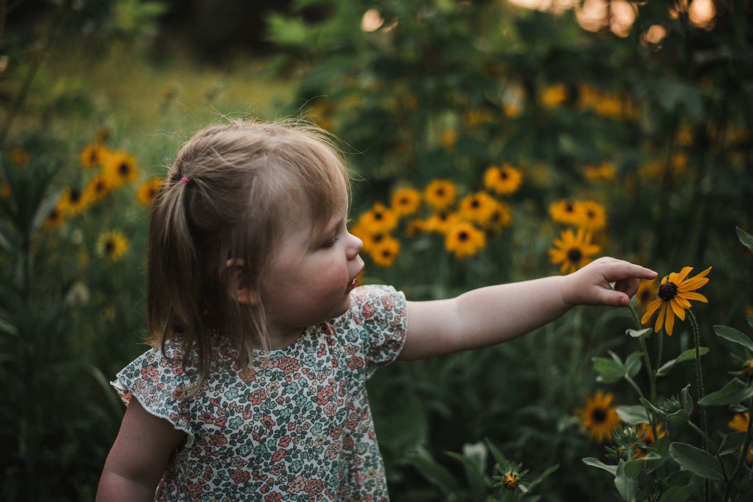 Child in floral dress reaches toward bright yellow sunflowers in garden.