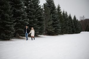 Winter snow covered evergreen trees create a peaceful landscape scene.