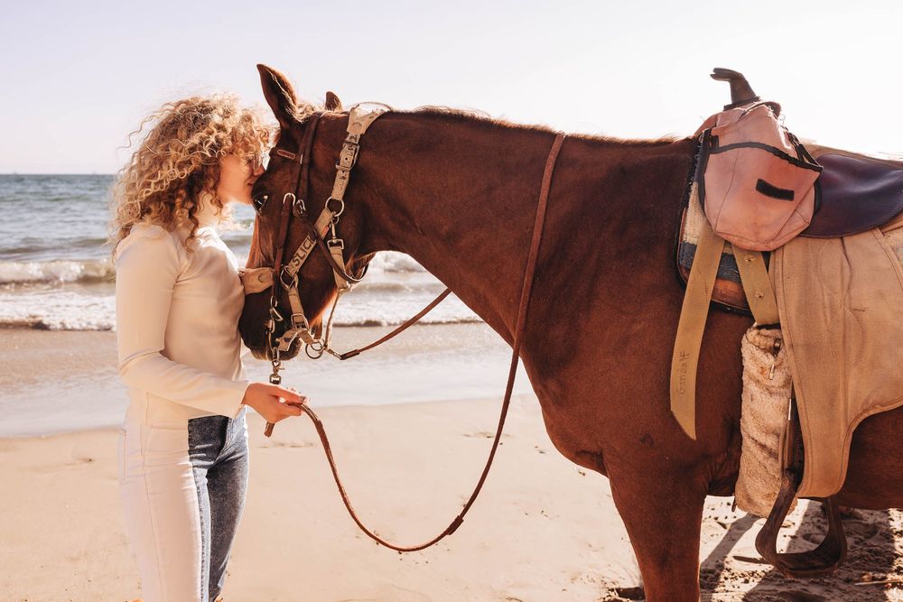 A brown horse and rider walking along a sandy beach at sunset, creating silhouettes against the ocean backdrop.