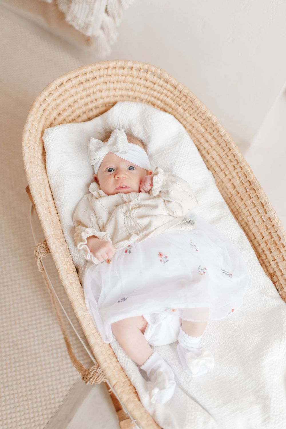 Newborn baby in bassinet at Mint Room Studio for Toronto newborn photography by local Toronto newborn photographer, Jess GC Photography