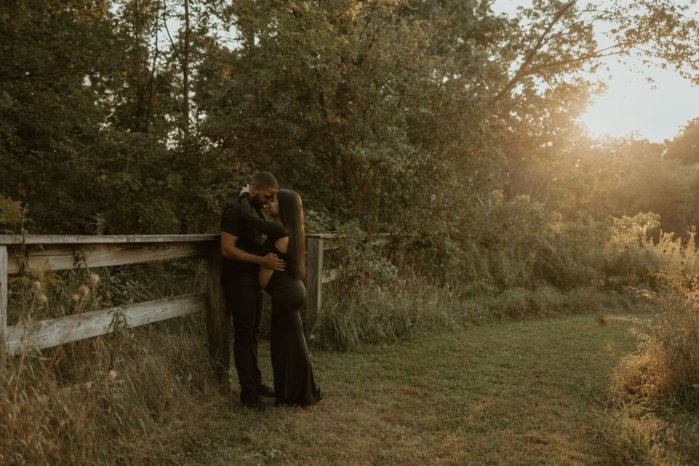 Golden sunlight filters through autumn trees creating a warm glow in a rural outdoor setting.