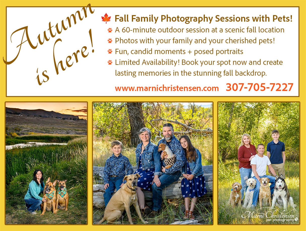 Advertisement for autumn family photography sessions with pets in scenic outdoor settings.