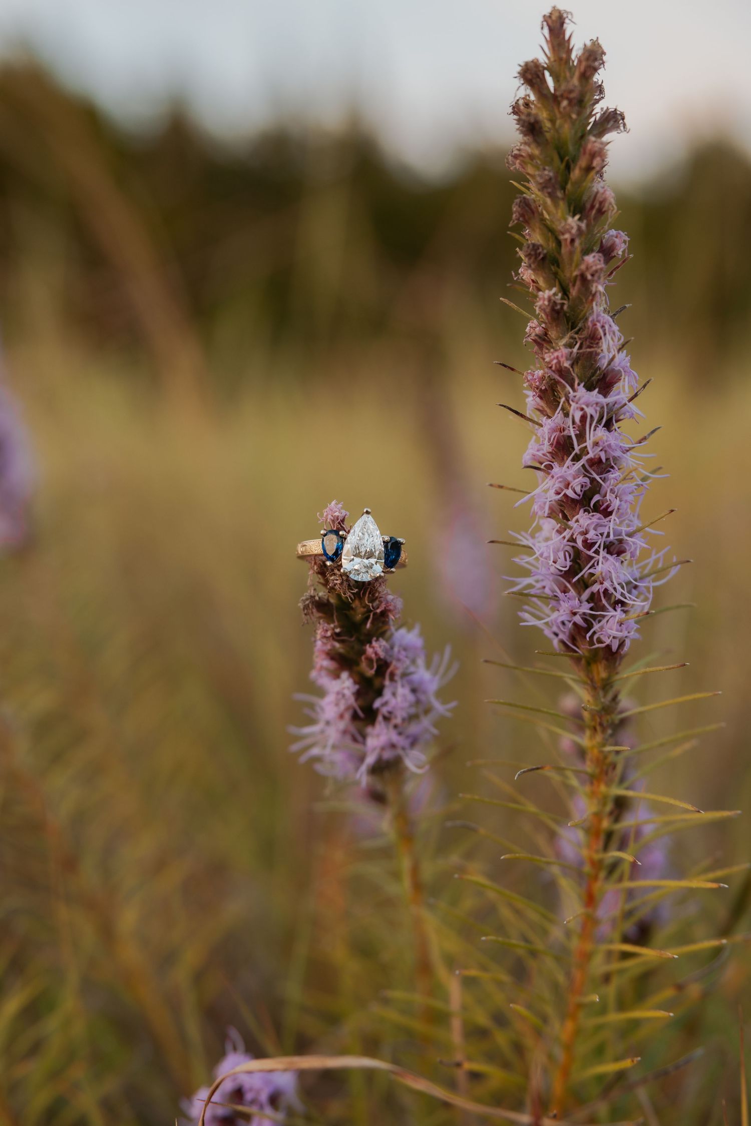 Pear-shaped diamond engagement ring displayed on purple liatris wildflowers in a meadow.