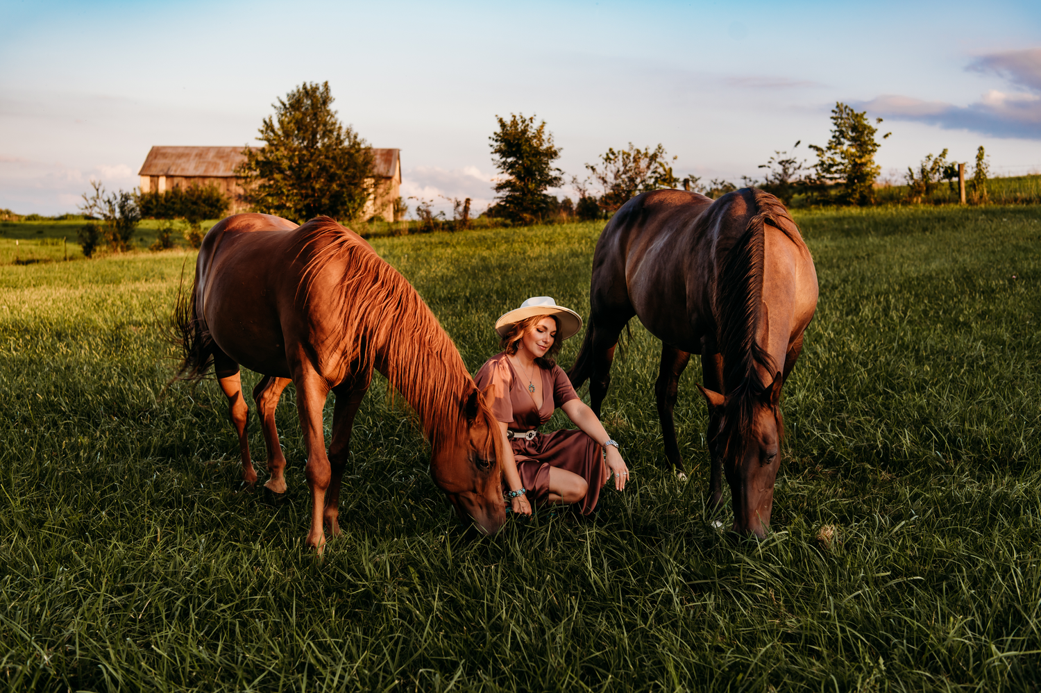 A majestic horse in a field at golden hour with trees in the background.