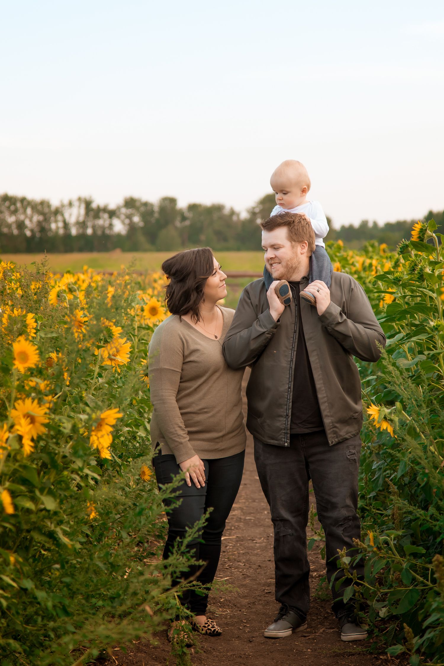 Family walking through sunflower field at sunset with baby on shoulders.