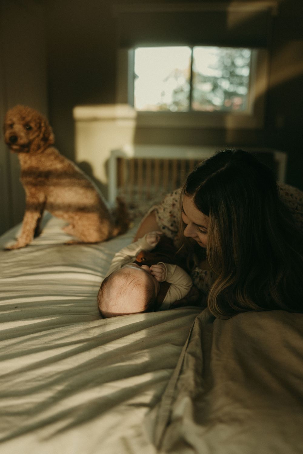 Sunlight creates dramatic shadows across a bed while highlighting intimate moments.