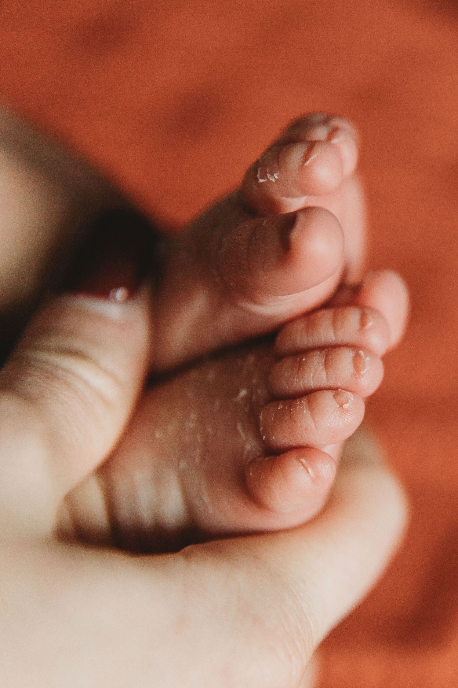 Close-up of tiny baby toes being gently held by adult hands. Annapolis lifestyle photographer. Annapolis family photographer