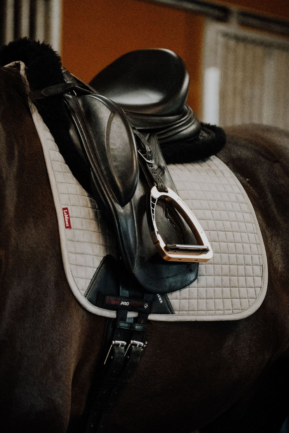 Close-up view of a black leather dressage saddle on a dark horse with white quilted saddle pad.