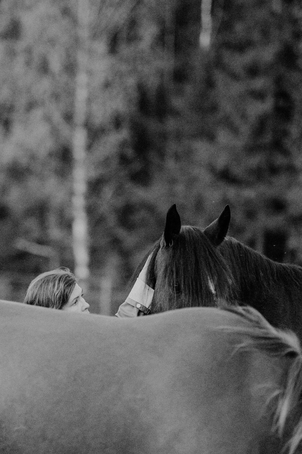 Black and white artistic photograph of a horse's mane and back silhouetted against a blurred background.