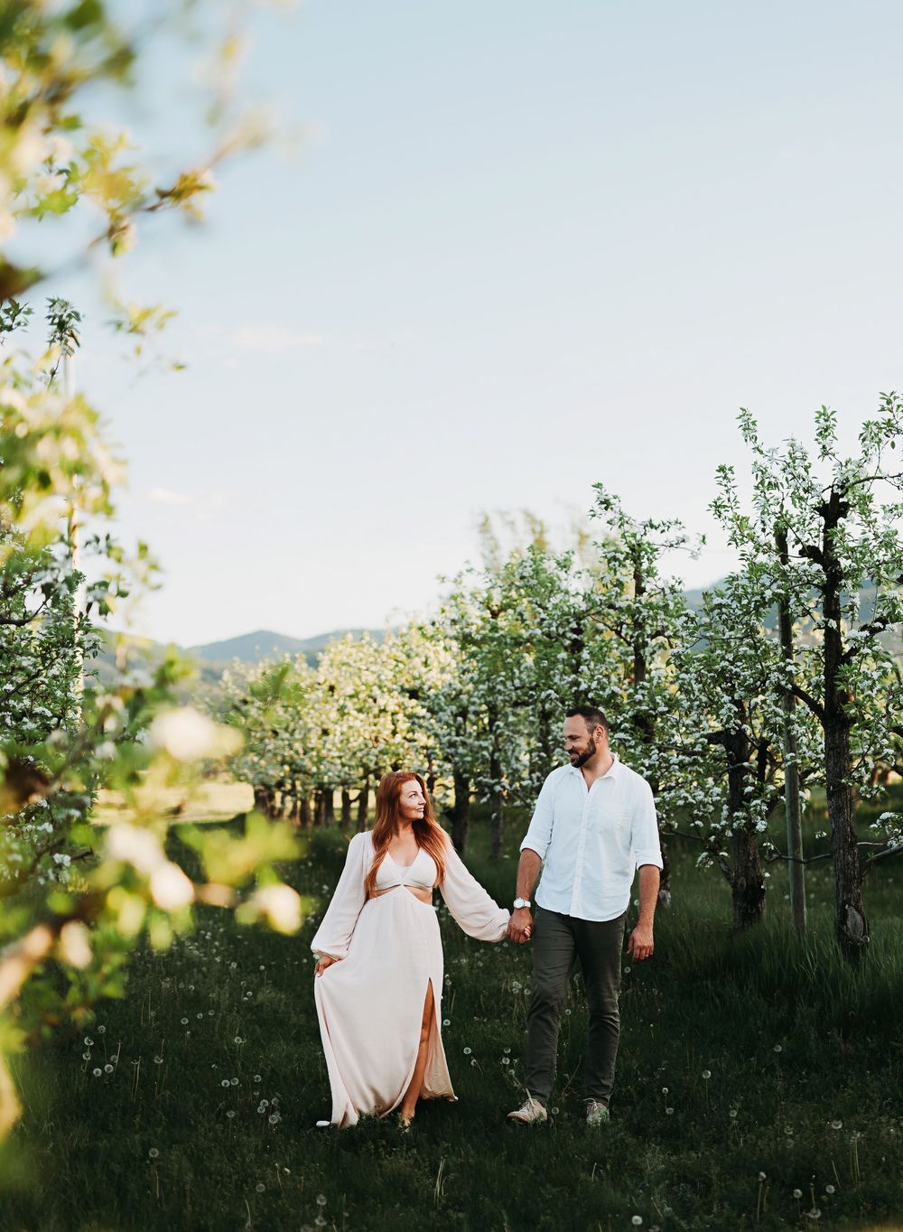 Couple walking together through a blooming apple orchard at sunset with mountains in the background.