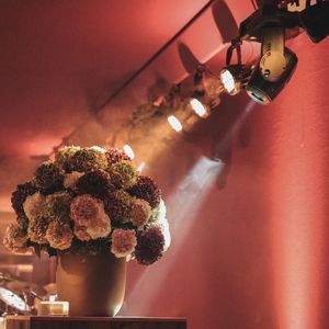 Stage lighting illuminates a dramatic floral arrangement of dark roses in a vase against a red-tinted background.