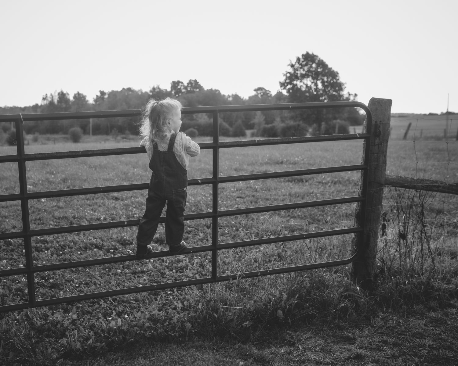 port perry farm family photographer