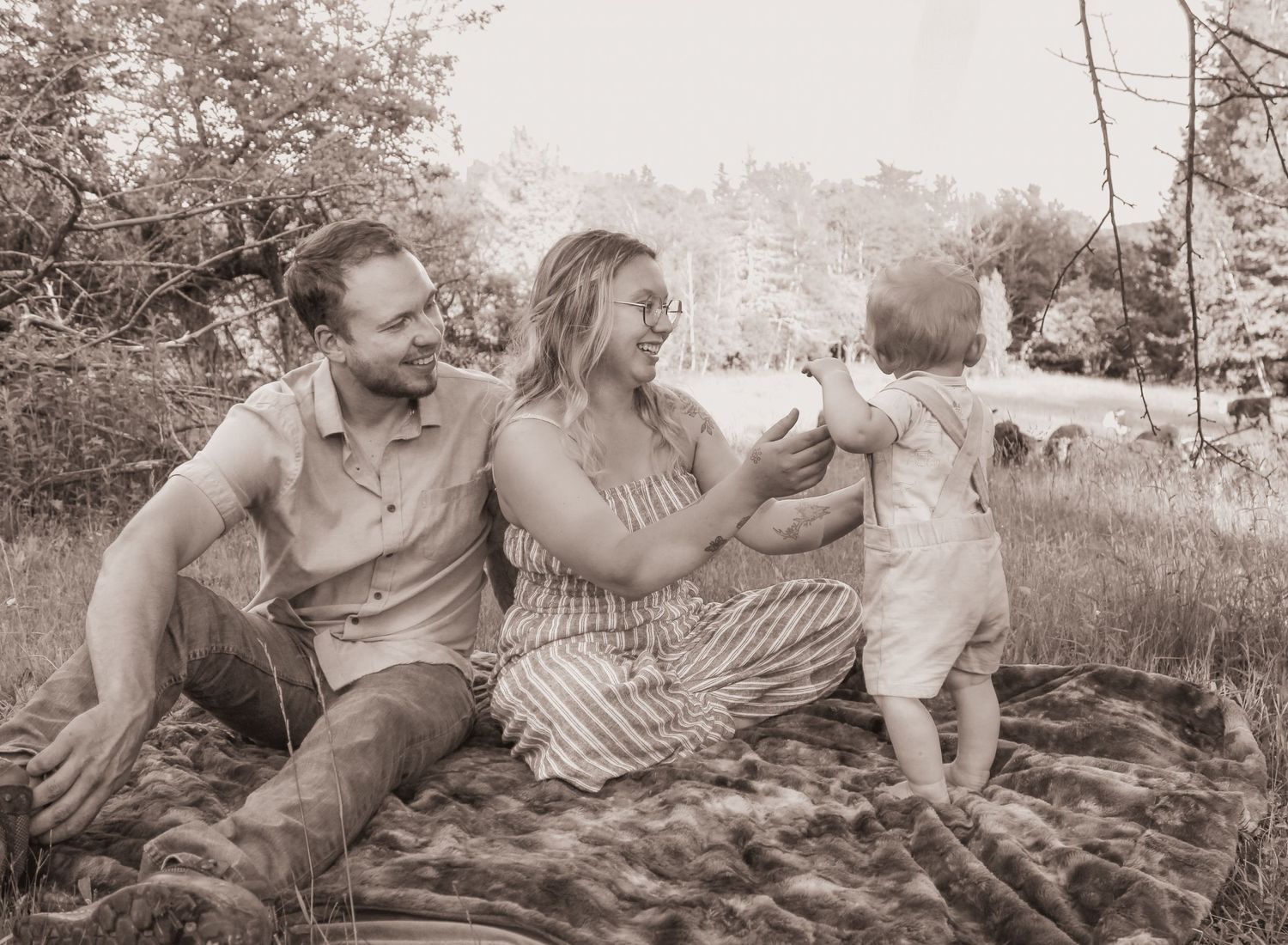 family of three, little boy looking at his cows, outdoor photo, parents smiling looking at toddler.