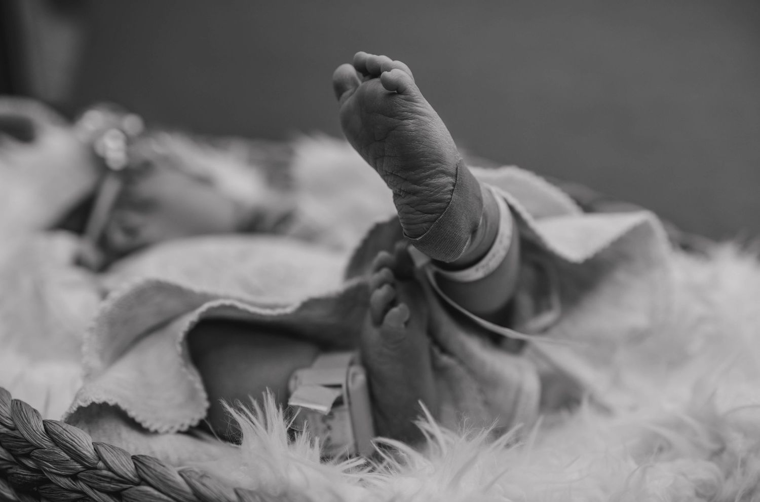 Black and white close-up of a tiny baby's foot wrapped in soft fabric.