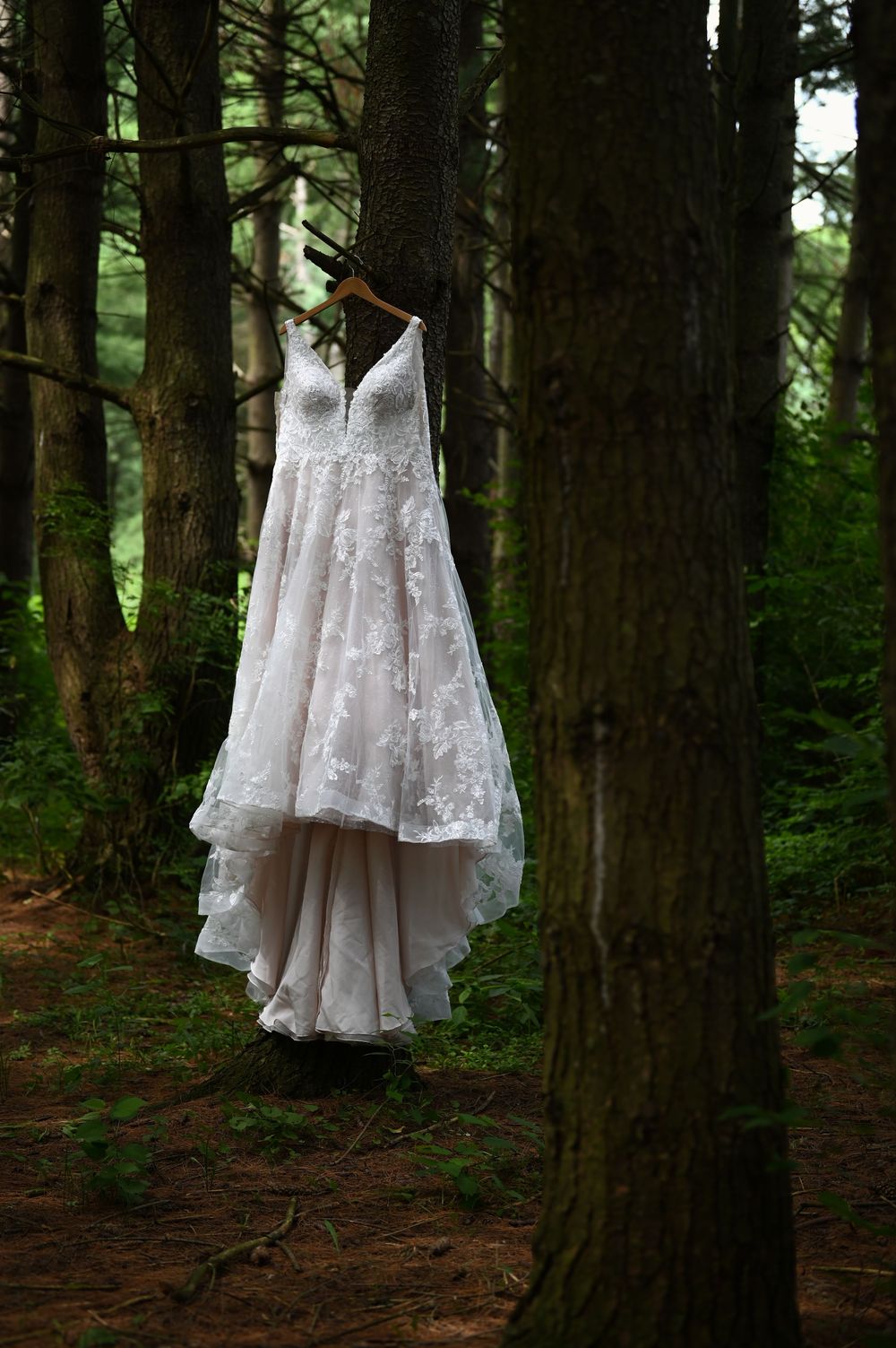 White lace wedding gown hanging from a wooden hanger between trees in a lush green forest.