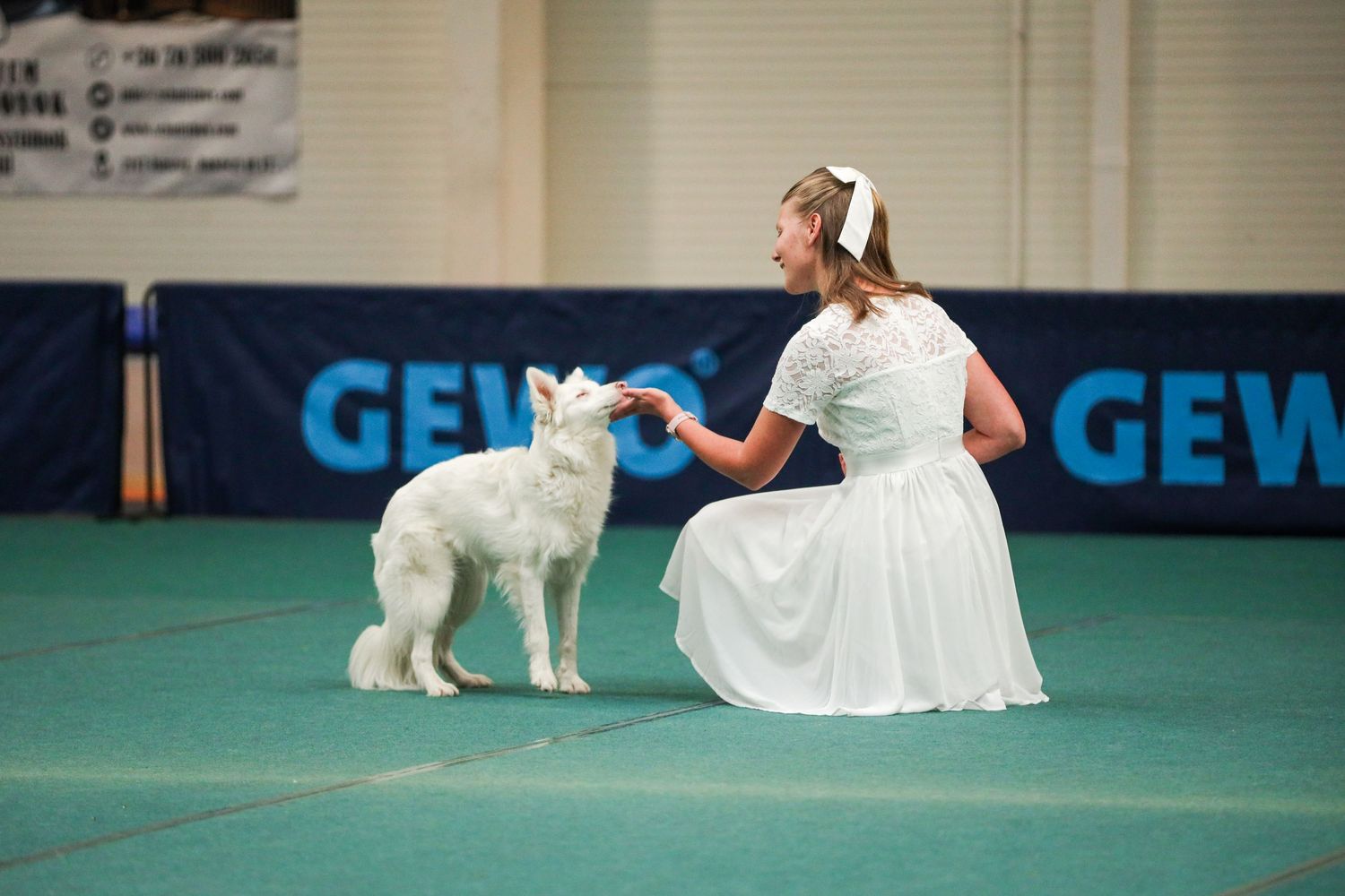 Kutya gazdi fotózás
Dog Dancing verseny fotózás
Rendezvény fotózás