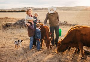 Family on a farm at sunset with cattle grazing and a dog watching in a rustic rural setting.