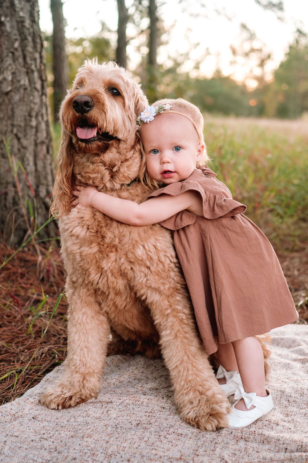 Fluffy goldendoodle dog posing with small child on sandy ground during outdoor photo session.