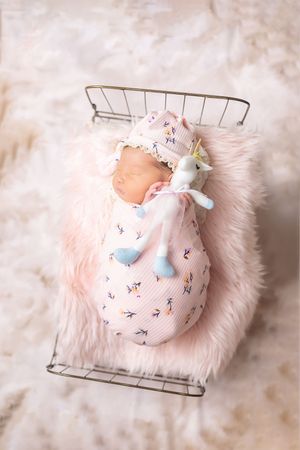 A sleeping baby nestled in pink fur with small decorative toys on a wire basket during a newborn photo session.