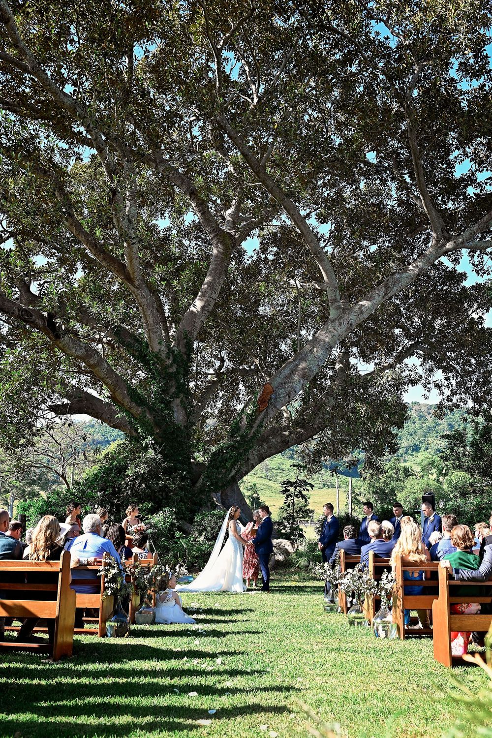 Beautiful Memories Photography, Rockhmapton Photographer, Yeppoon Photographer, CQ Photographer, Wedding Photography, Palmvale Dairy