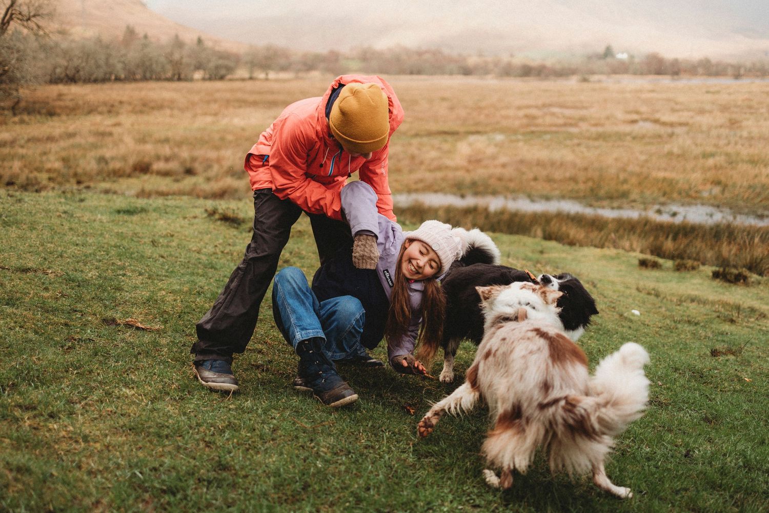People playing with fluffy dogs in an open field on an autumn day.