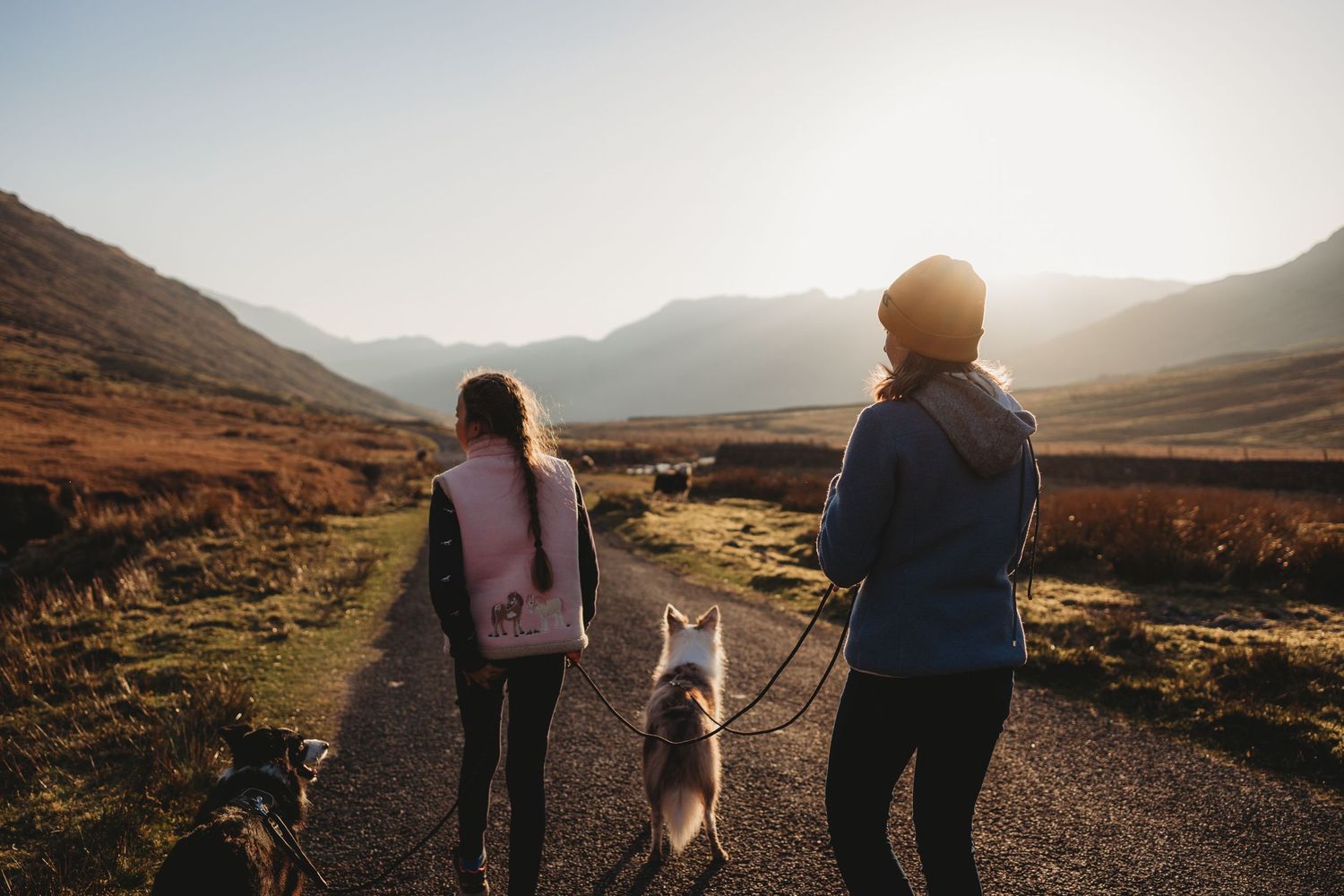 Two women and a husky dog walking on a mountain path at sunset with scenic valley views.