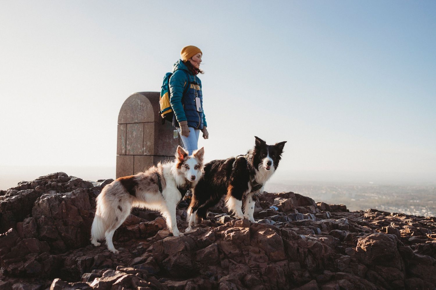 Hiker with backpack stands on rocky mountain summit with two border collies against a clear sky.