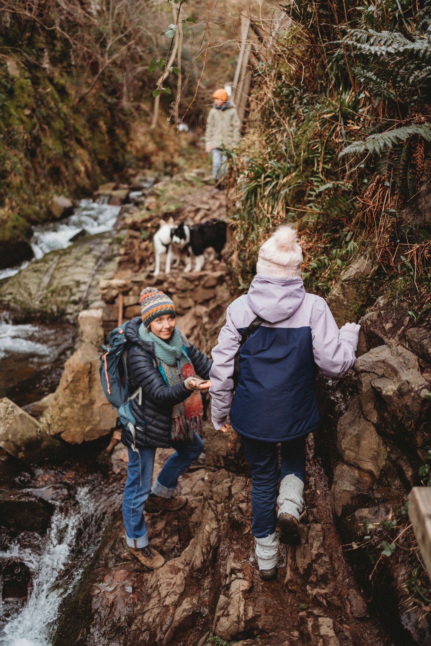 Hiking group climbing rocky path alongside rushing stream in dense forest.