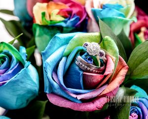 Saying I Do, Elopement, Wedding