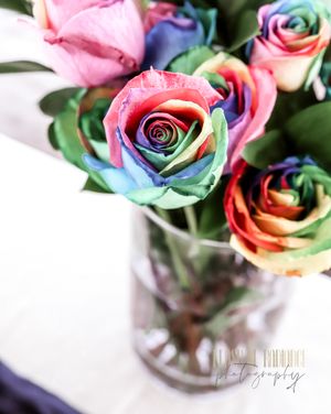 Saying I Do, Elopement, Wedding