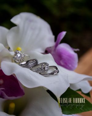 Saying I Do, Elopement, Wedding