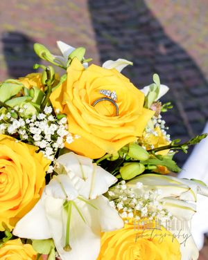 Saying I Do, Elopement, Wedding