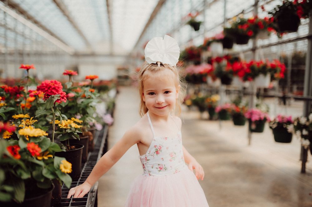 Colorful flowers and plants on display in a bright greenhouse with rows of hanging baskets.