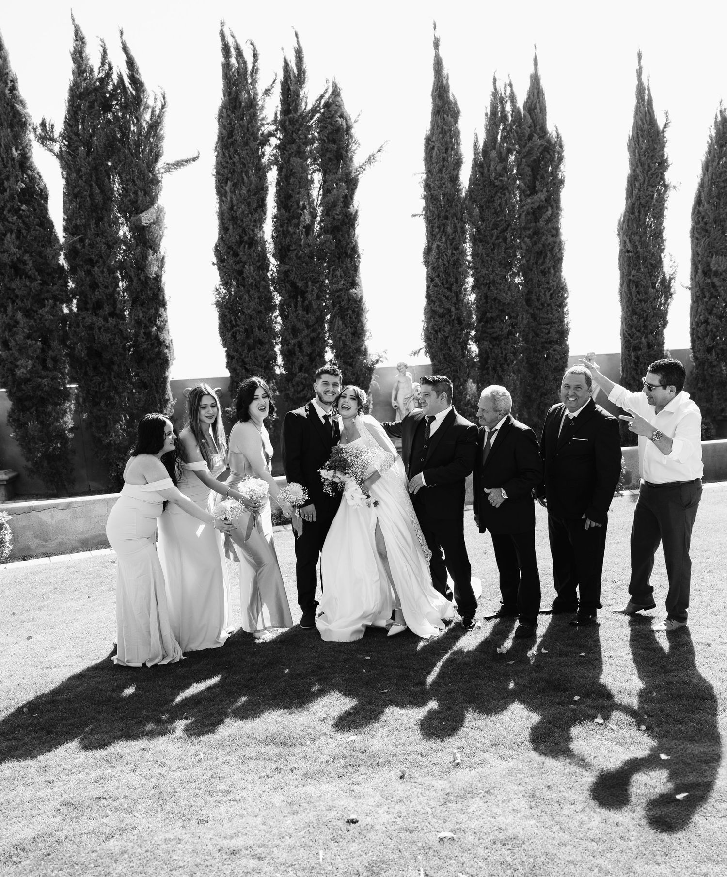 Wedding party members lined up against a row of tall cypress trees casting dramatic shadows on a grassy lawn.