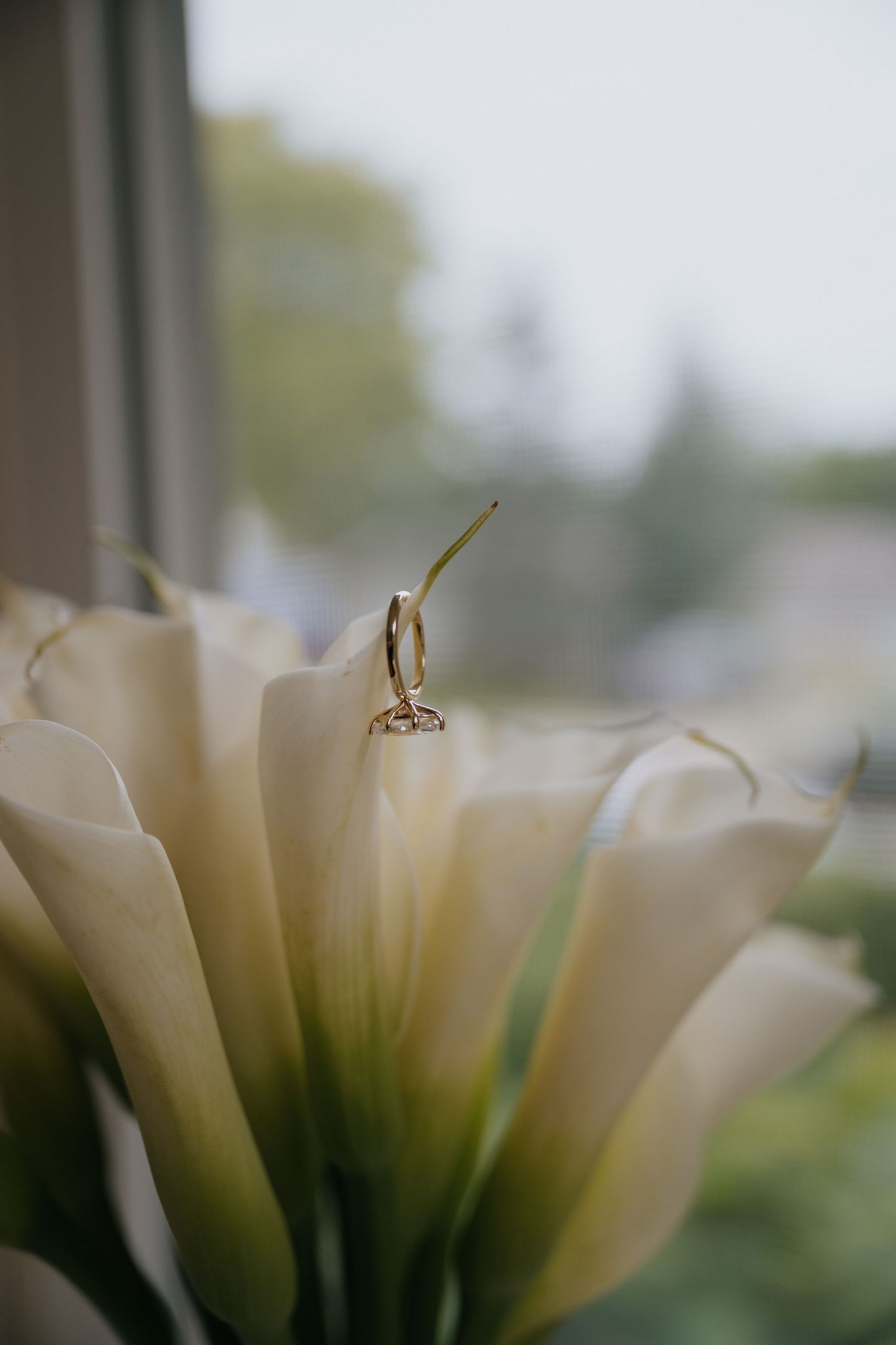 Wedding rings nestled in the center of a white lily flower with soft focus background.